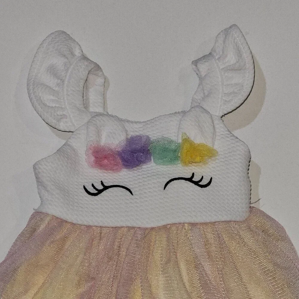 Sweet Heart Rose Tutu Dress Baby 6-9 Months Face Tulle Halloween Costume READ